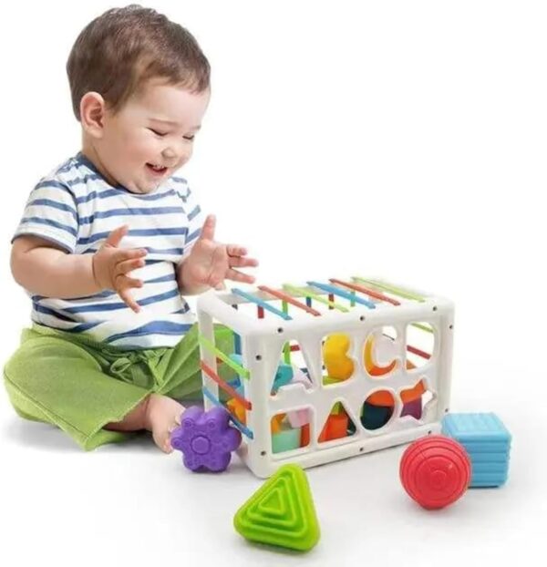 Shape Sorter Toy 2 Kid happily playing with Shape Sorter Toy